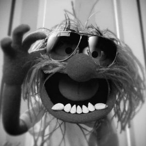 Meet your Posher, Robert